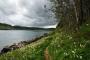 Scotland