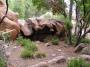 Red rocks