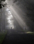 Moje Krajina - Fotograf roku - Kreativita - I. kolo - Rano