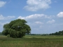 Krajina u Kozmic