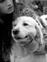 Emoce a touha - Fotograf roku - Junior - X. kolo - Dívka se psem