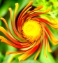 Rastafari