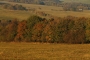 Jitka Pecharová - Krajina ...:o)