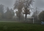 My versus Smog