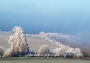 Moje Krajina - Ještě jedna ranní námraza........