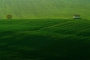 Moje Krajina - zelená krajina