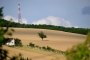 Moje Krajina - Osamělý strom