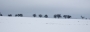 Horizont