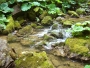 Moje Krajina - horský potůček
