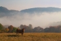 Moje Krajina - Život pod Vršatcom