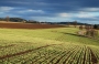 Moje Krajina - příslib