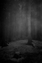 Moje Krajina - autumn feeling 2