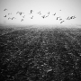 Dia Takácsová - Misty Days