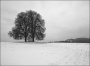 Advent