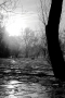 Černobílá fotografie - Povodeň 2011
