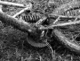 Černobílá fotografie - čas na vodu