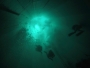 Jana Popelková - Nemo 33