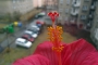 Makro v přírodě - Fotograf roku - Kreativita - V. kolo - V okně