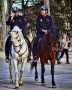 Plačící madridský policista
