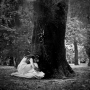 Shelter