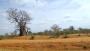 Silvestr Szabo - Kenya Filipi