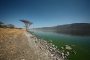 Silvestr Szabo - Kenya Lake Bogoria