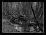 Milan Paukert - Tiché údolí
