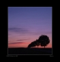 František Zemek -20120506  Nad Slovackem svita  1066130