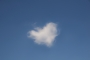 Love is in the air