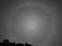 Halo 