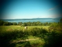 Lipno