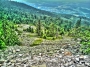 Fotograf roku v přírodě 2012 - KRAJINA ANIMO