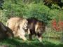 ZOO PLzeň