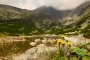 Zdena Nezníková - Skalnaté pleso
