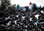 Krajina 2012  VI.