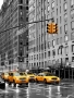 Dagmar Hřebíková -Newyorské dostavníky