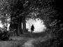 Jan Horák -Přírodní tunel