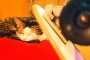 Alžběta Huclová - longboard´s cat