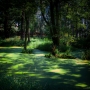 Lubomír Lanský -Veltruský park