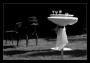 Imrich Finta -po oslave