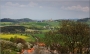 Rozkvetlé Česko