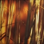 Lenka Heinová -v podvečer