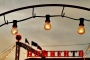 Cirkus