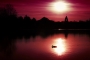 Martin Dzurjaník - Sunset III.