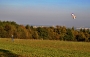 Šárka Nováková - Podzim