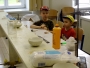 Mladí chemici
