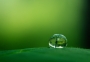 Ľubomír Ledňa -green-zelená
