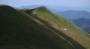 zeleno -modrá