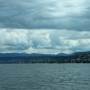 Modrá