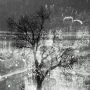 Zimní království - Fotograf roku - Kreativita - III.kolo - Zima